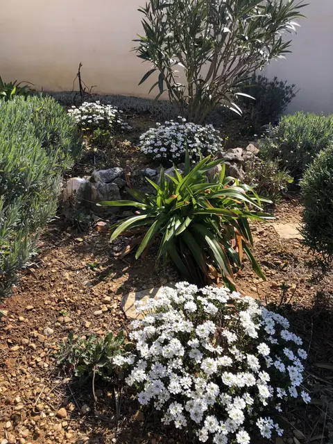 LocationRobot - Film Location Ferienhaus LR5284 (photo 32)