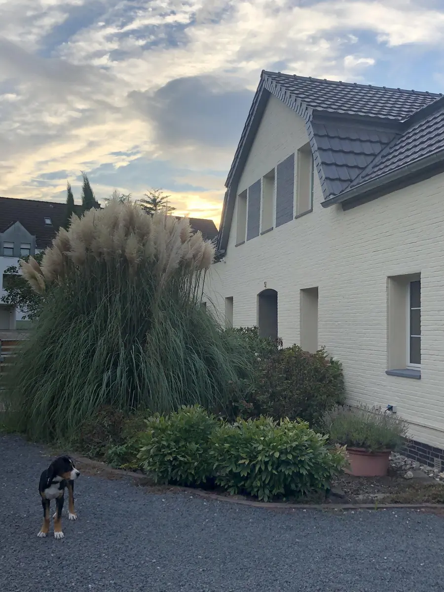 LocationRobot - Film Location Bauernhaus LR5302 (photo 30)
