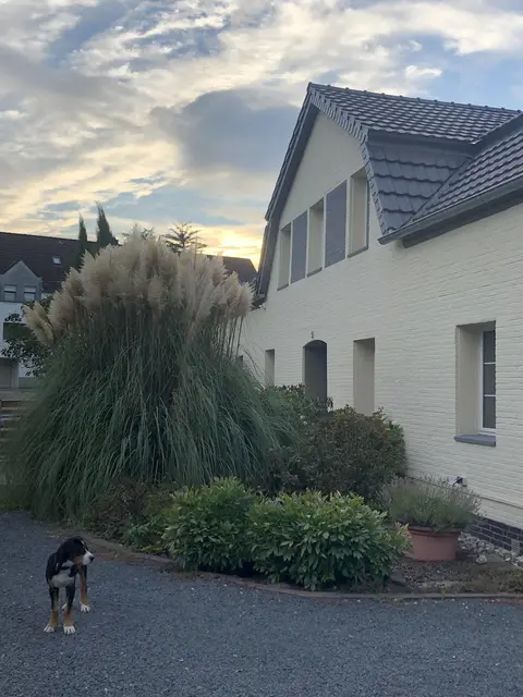 LocationRobot - Film Location Bauernhaus LR5302 (photo 30)