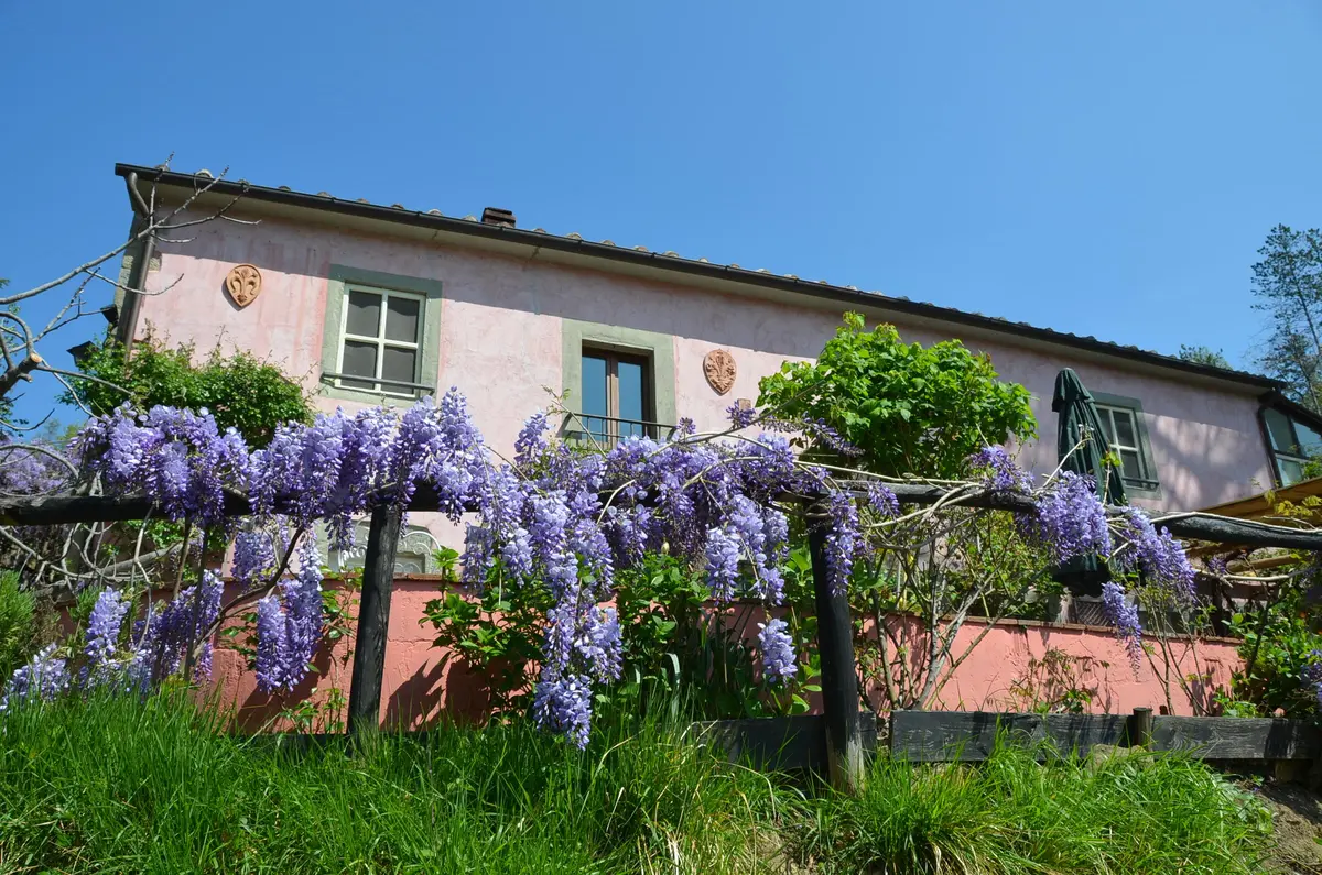 LocationRobot - Film Location Landhaus LR5374 (photo 34)