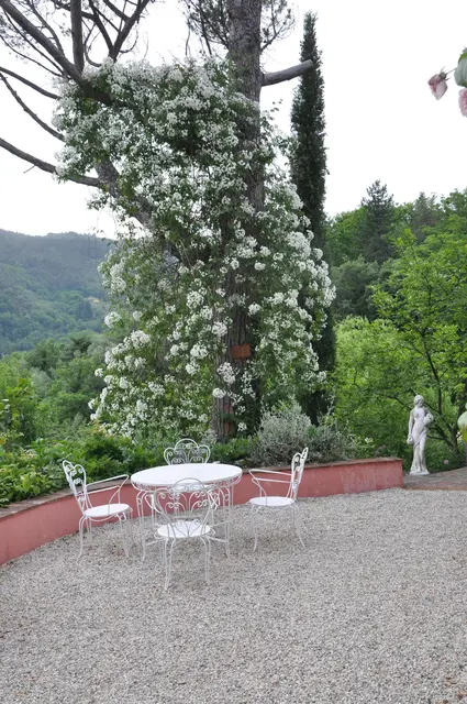 LocationRobot - Film Location Landhaus LR5374 (photo 26)