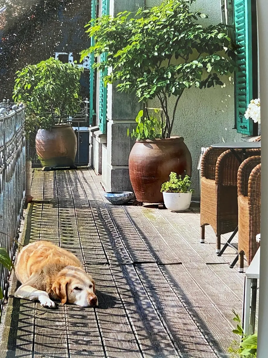 LocationRobot - Film Location Wohnung LR5391 (photo 25)