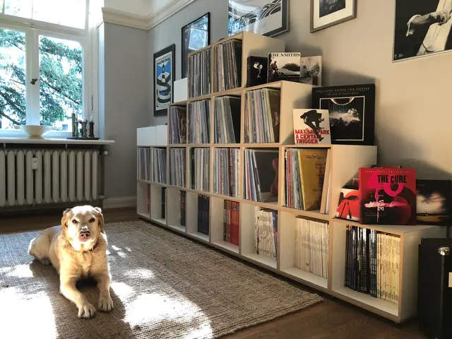 LocationRobot - Film Location Wohnung LR5391 (photo 11)