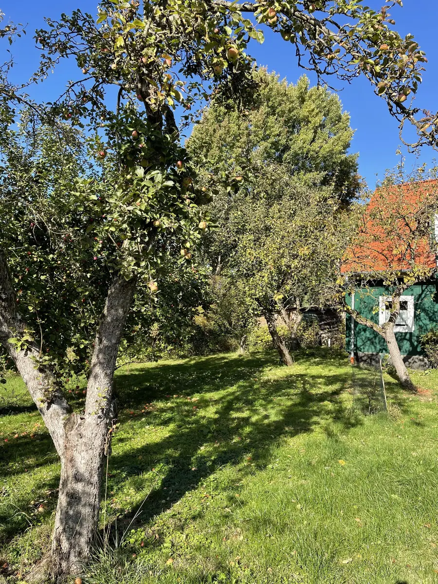 LocationRobot - Film Location Holzhaus LR5395 (photo 25)