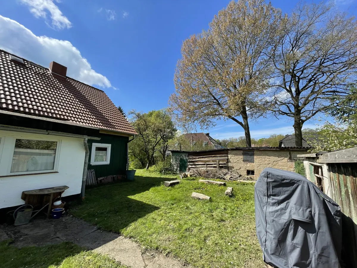 LocationRobot - Film Location Holzhaus LR5395 (photo 29)