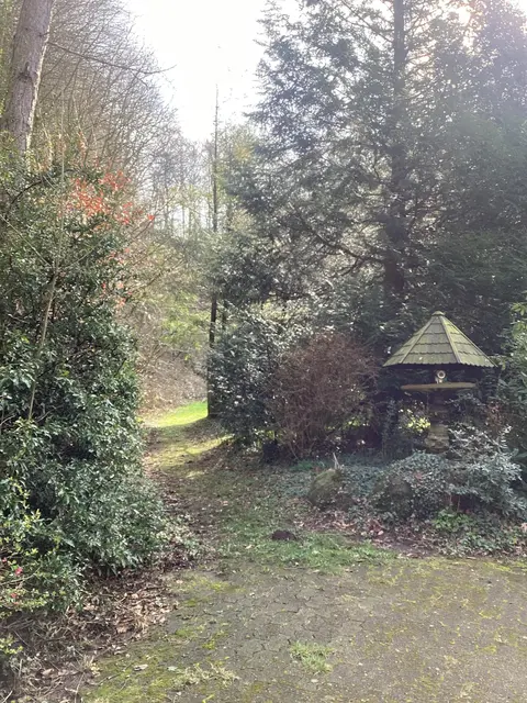 LocationRobot - Film Location Bungalow LR5401 (photo 39)