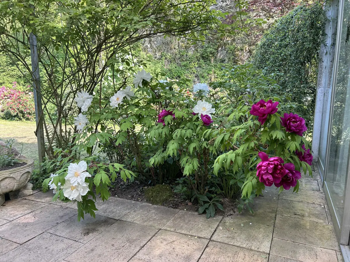 LocationRobot - Film Location Bungalow LR5401 (photo 46)