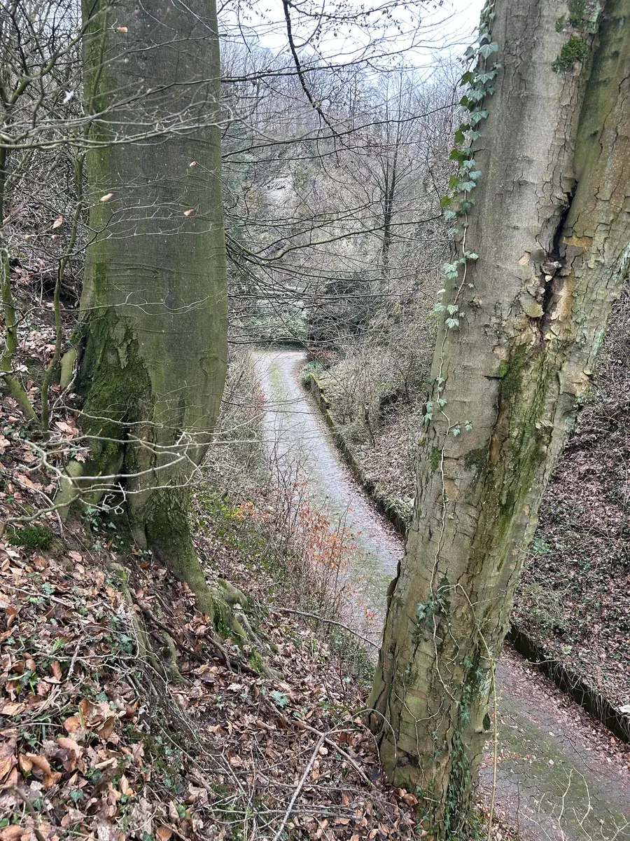 LocationRobot - Film Location Bungalow LR5401 (photo 44)