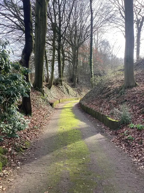 LocationRobot - Film Location Bungalow LR5401 (photo 40)