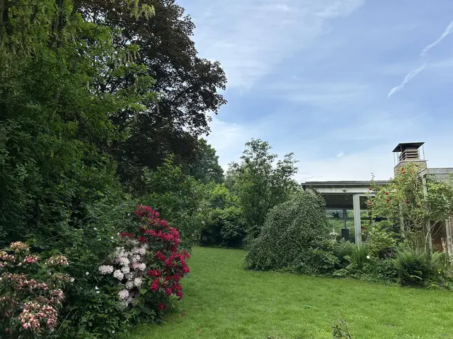 LocationRobot - Film Location Bungalow LR5401 (photo 49)