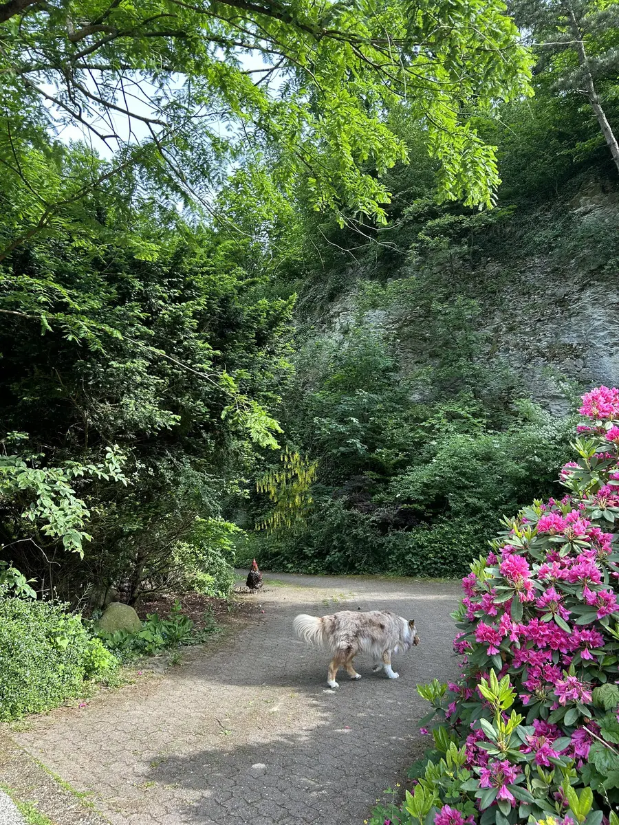 LocationRobot - Film Location Bungalow LR5401 (photo 57)