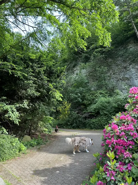 LocationRobot - Film Location Bungalow LR5401 (photo 57)