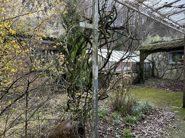 LocationRobot - Film Location Bungalow LR5401 (photo 38)