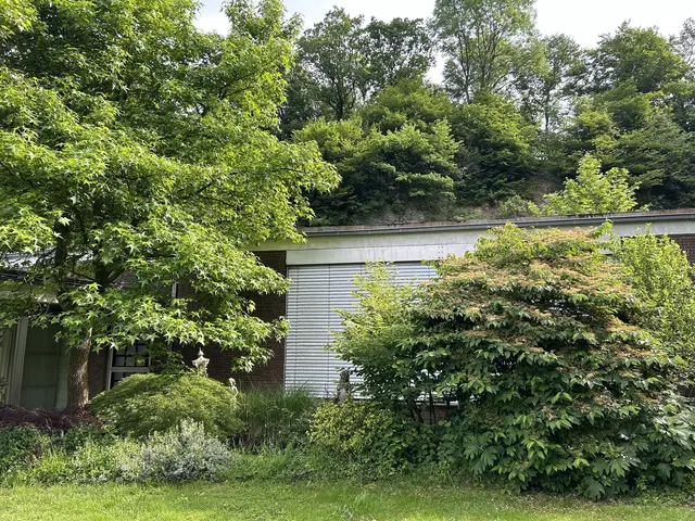 LocationRobot - Film Location Bungalow LR5401 (photo 53)