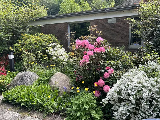 LocationRobot - Film Location Bungalow LR5401 (photo 47)