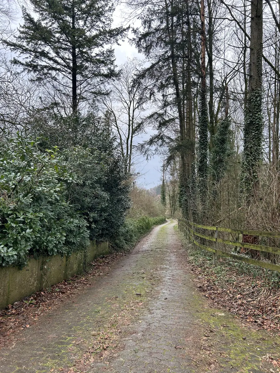 LocationRobot - Film Location Bungalow LR5401 (photo 41)