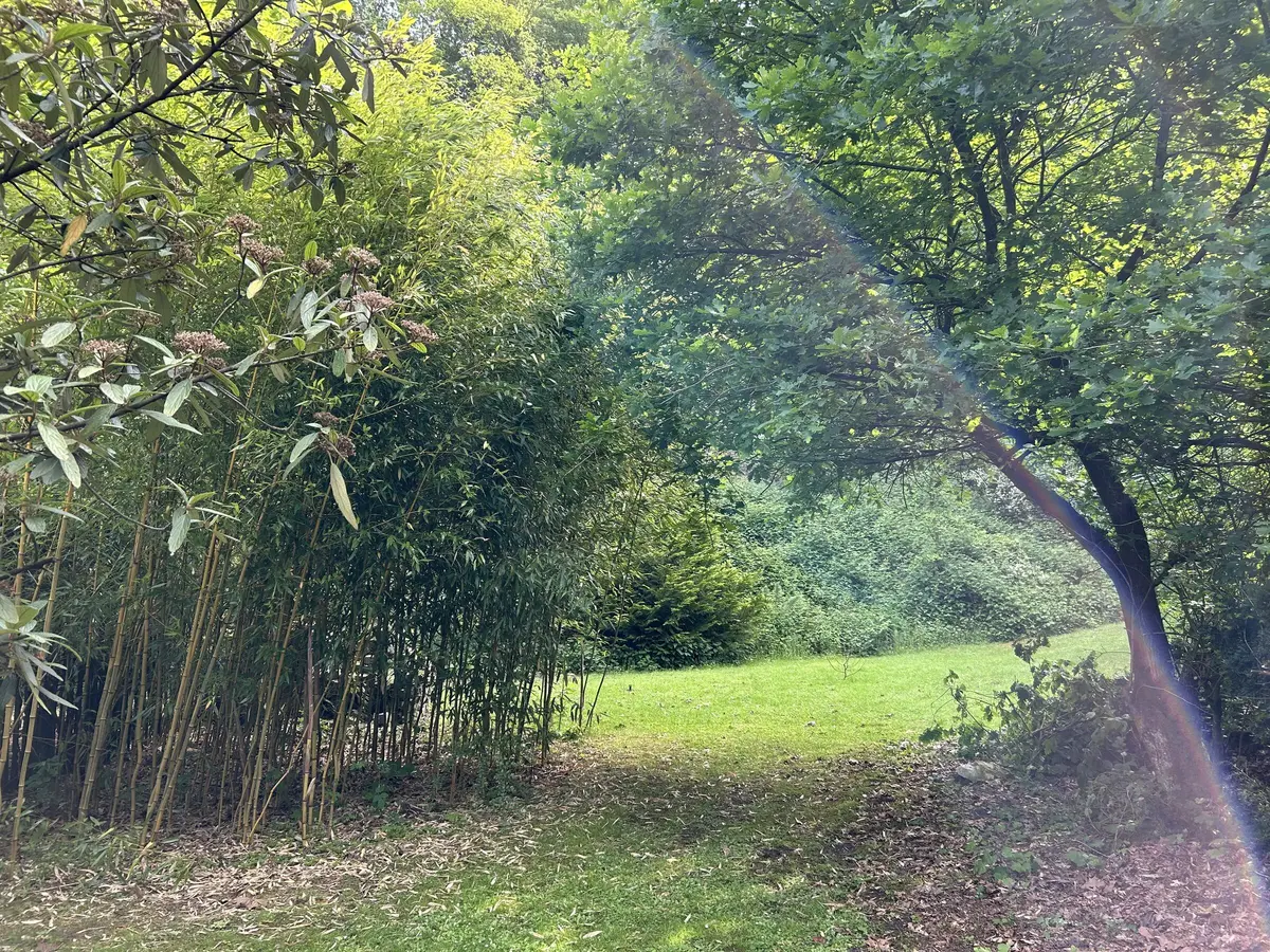 LocationRobot - Film Location Bungalow LR5401 (photo 54)