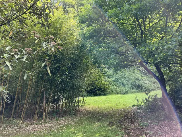 LocationRobot - Film Location Bungalow LR5401 (photo 54)