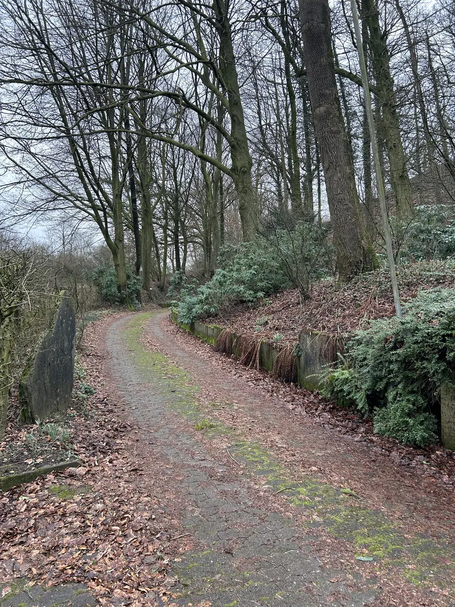 LocationRobot - Film Location Bungalow LR5401 (photo 43)