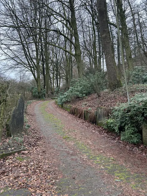 LocationRobot - Film Location Bungalow LR5401 (photo 43)