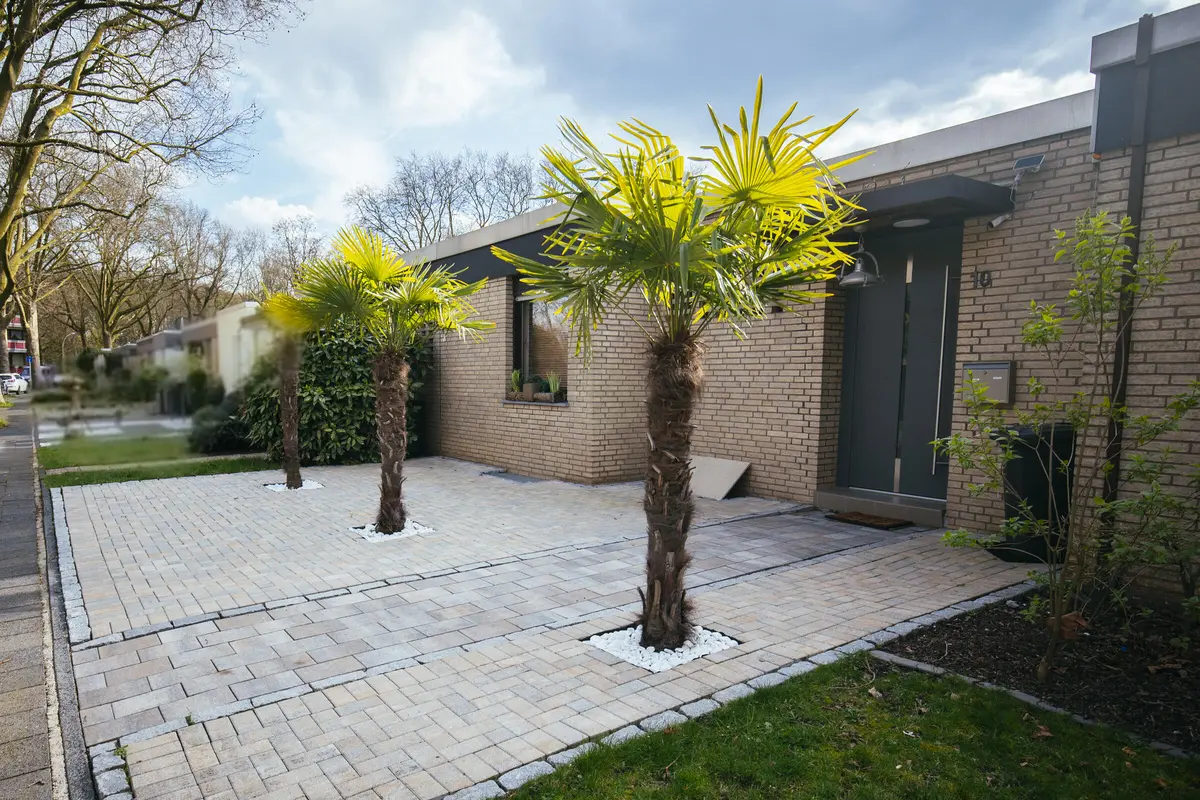 LocationRobot - Film Location Bungalow LR5423 (photo 29)