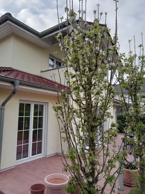 LocationRobot - Film Location Einfamilienhaus LR5469 (photo 28)