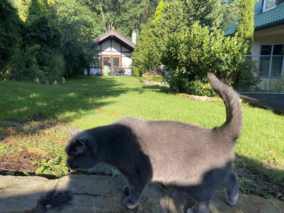 LocationRobot - Film Location Villa LR5487 (photo 31)