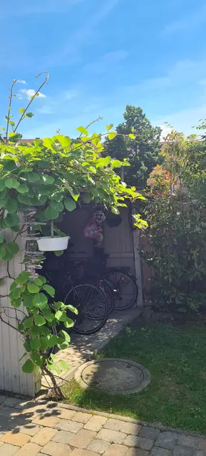 LocationRobot - Film Location Einfamilienhaus LR5499 (photo 68)