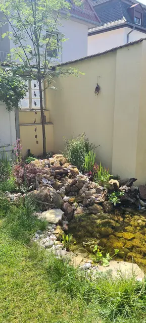 LocationRobot - Film Location Einfamilienhaus LR5499 (photo 56)