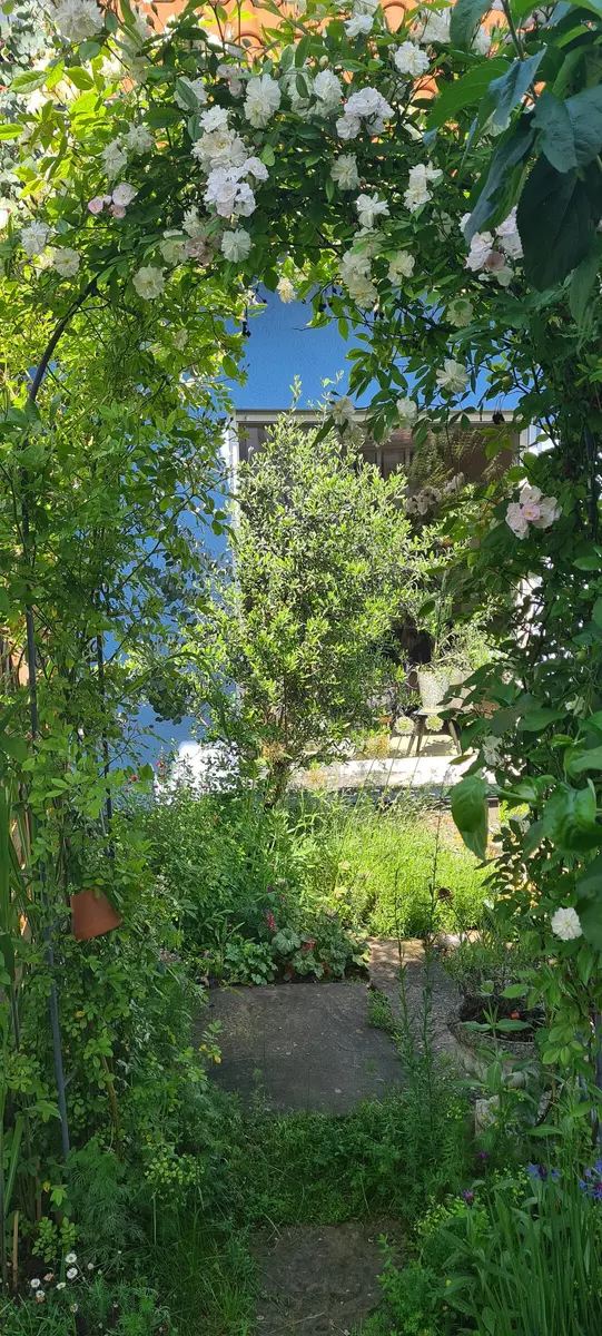 LocationRobot - Film Location Einfamilienhaus LR5499 (photo 62)