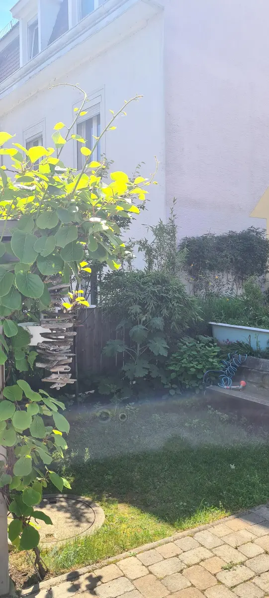 LocationRobot - Film Location Einfamilienhaus LR5499 (photo 66)