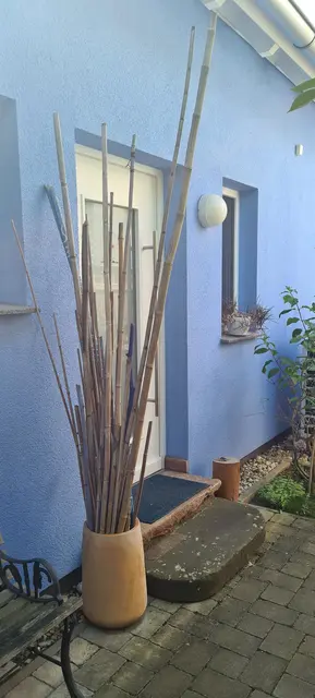 LocationRobot - Film Location Einfamilienhaus LR5499 (photo 69)