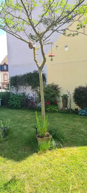 LocationRobot - Film Location Einfamilienhaus LR5499 (photo 55)