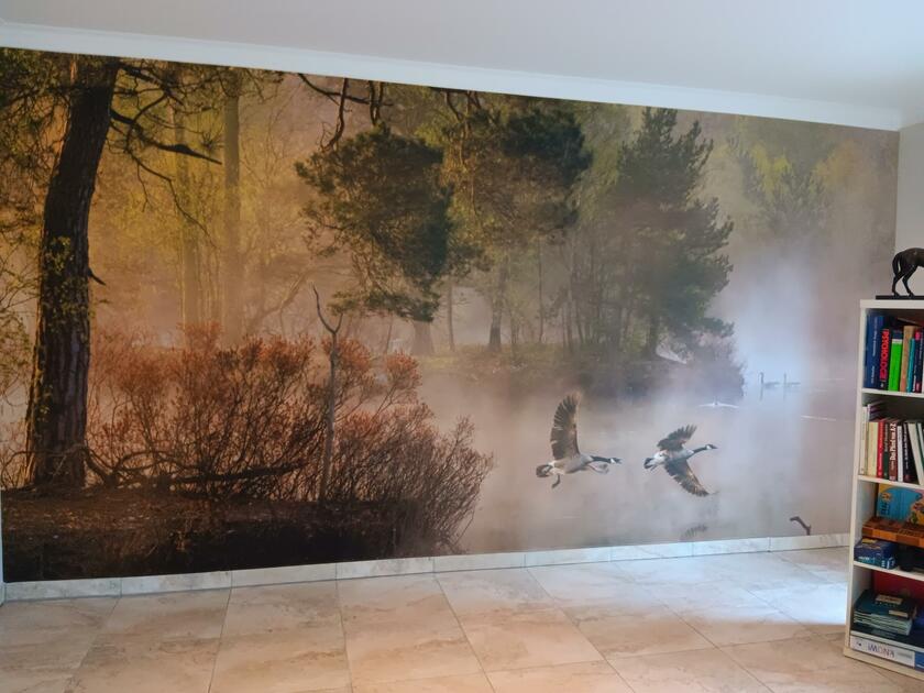 LocationRobot - Film Location Landhaus LR5519 (photo 8)