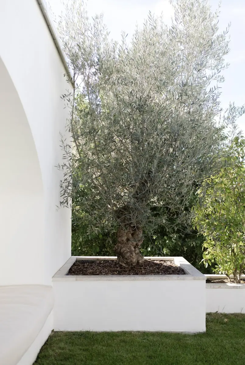 LocationRobot - Film Location Haus LR5582 (photo 38)