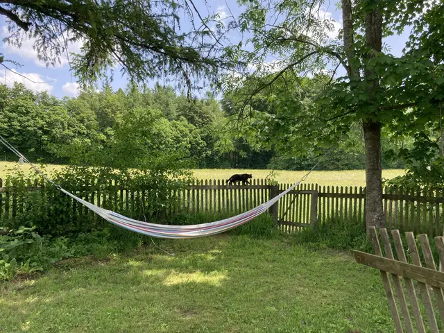 LocationRobot - Film Location Haus LR5605 (photo 32)