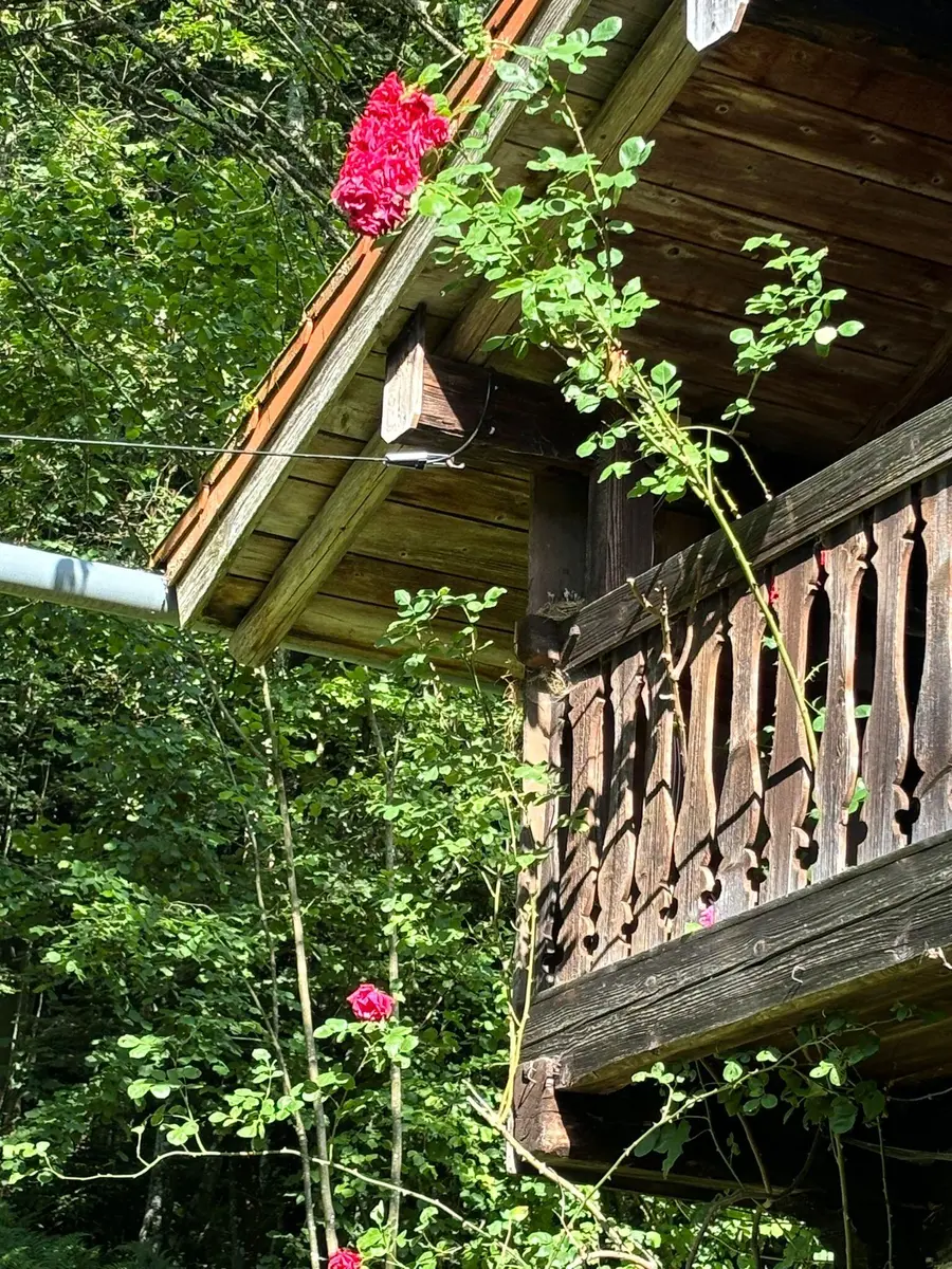 LocationRobot - Film Location Bauernhaus LR5612 (photo 26)