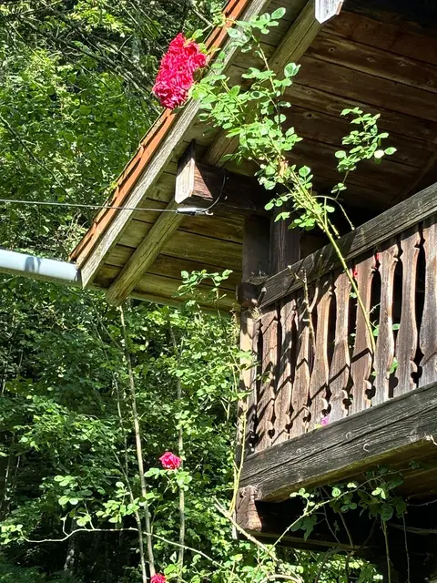 LocationRobot - Film Location Bauernhaus LR5612 (photo 26)