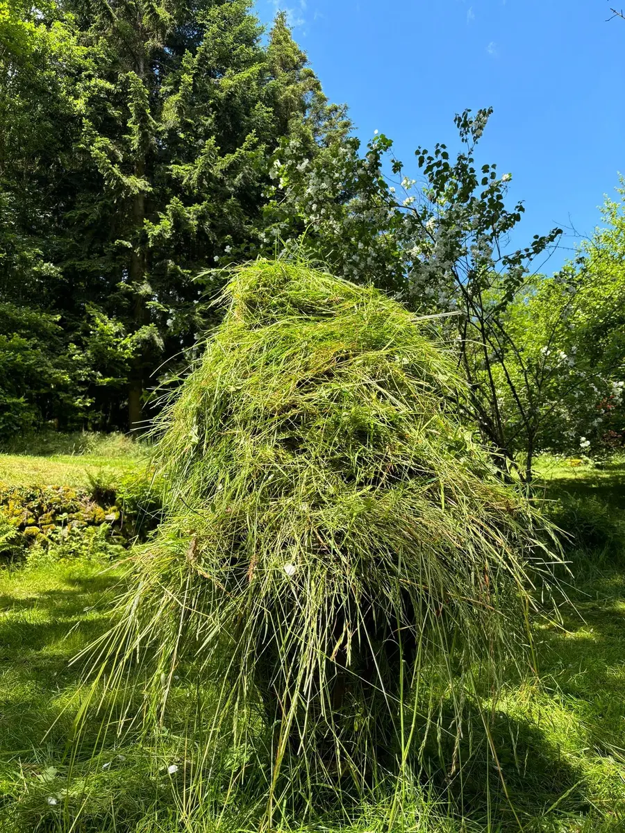 LocationRobot - Film Location Bauernhaus LR5612 (photo 23)