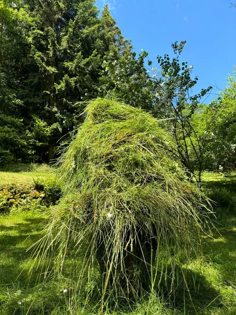 LocationRobot - Film Location Bauernhaus LR5612 (photo 23)