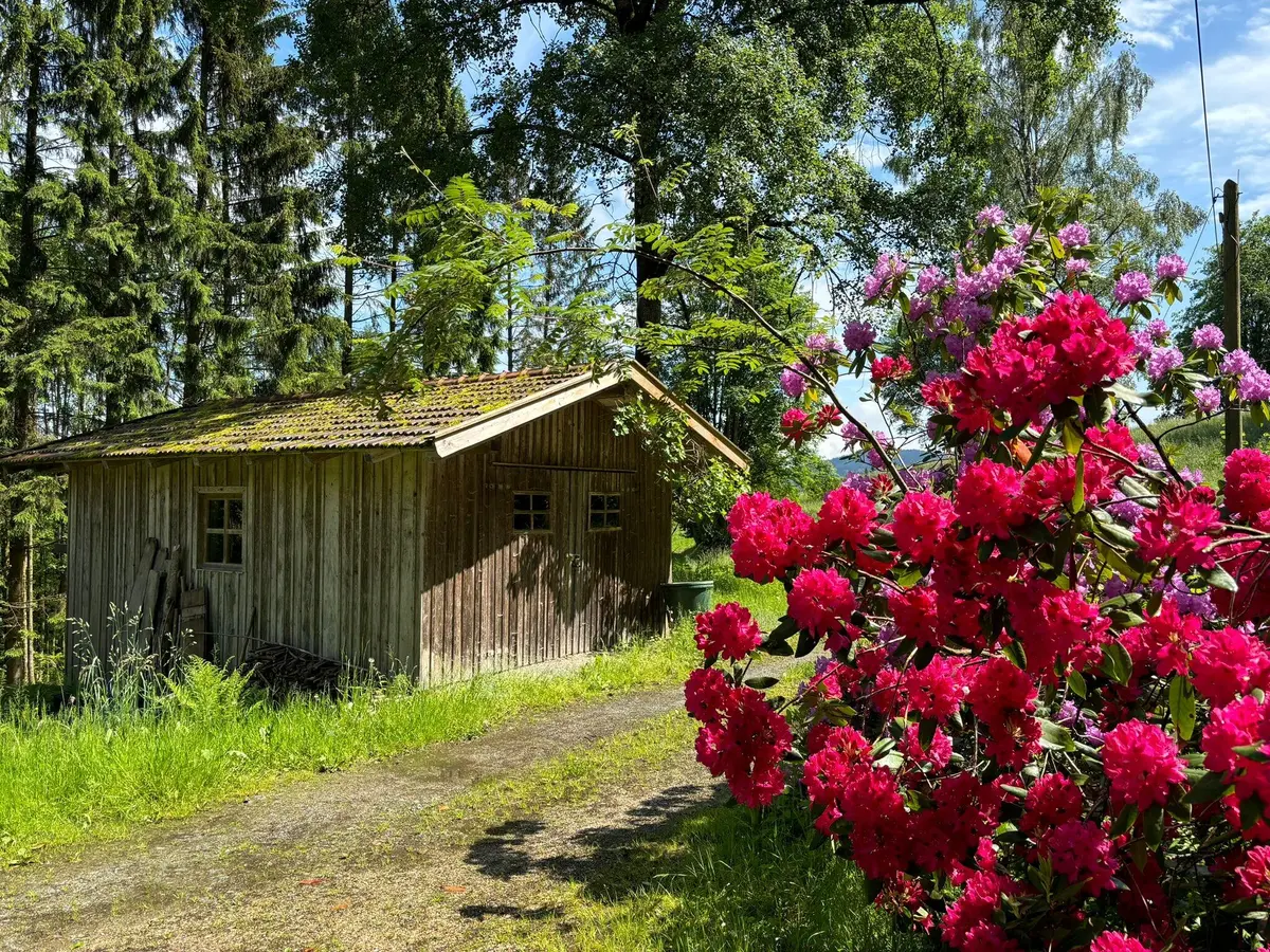 LocationRobot - Film Location Bauernhaus LR5612 (photo 24)