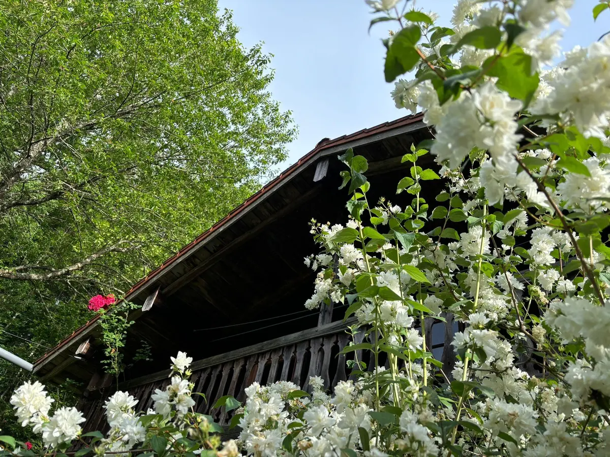 LocationRobot - Film Location Bauernhaus LR5612 (photo 25)