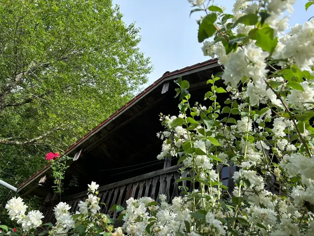 LocationRobot - Film Location Bauernhaus LR5612 (photo 25)