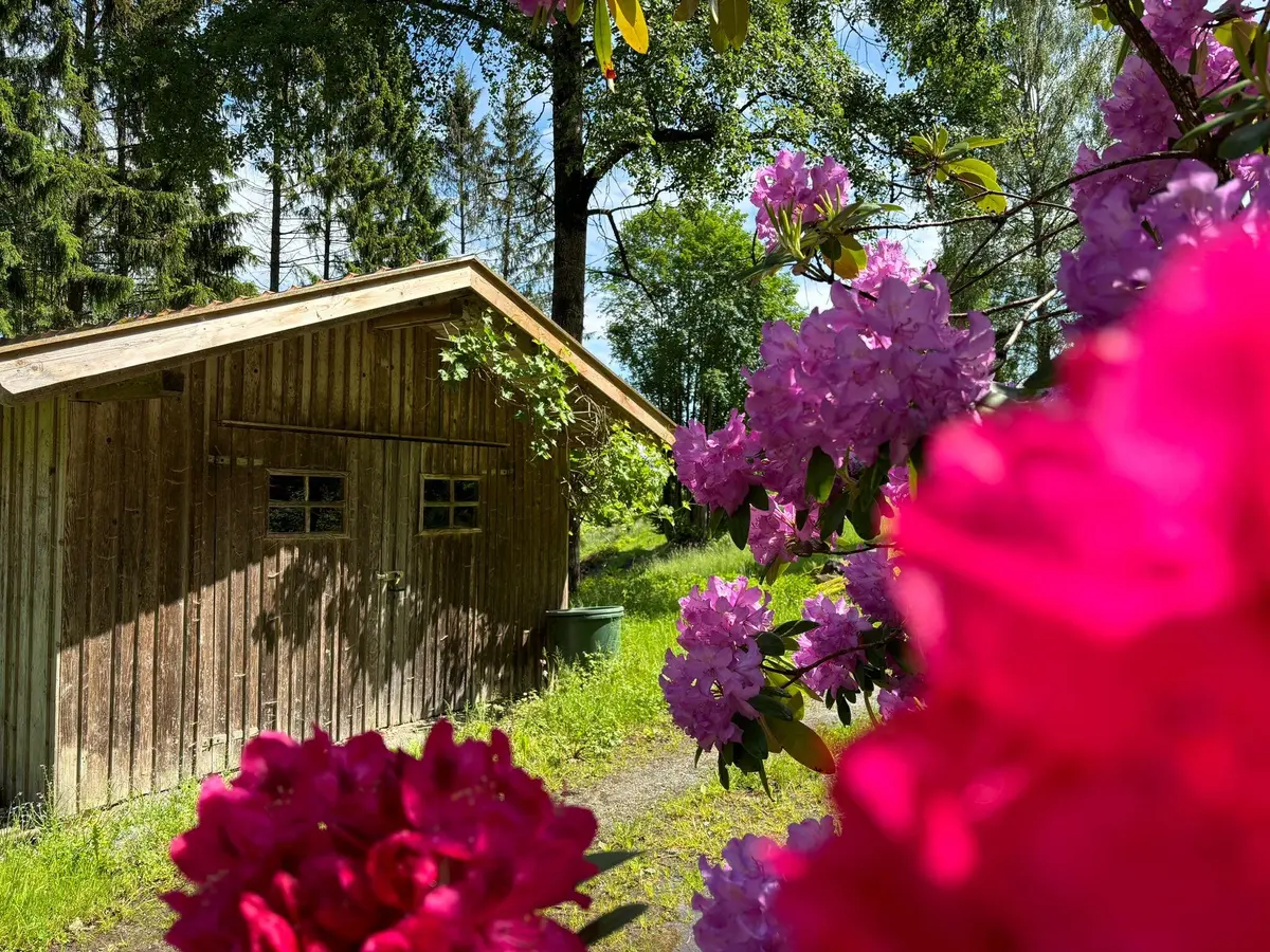 LocationRobot - Film Location Bauernhaus LR5612 (photo 29)