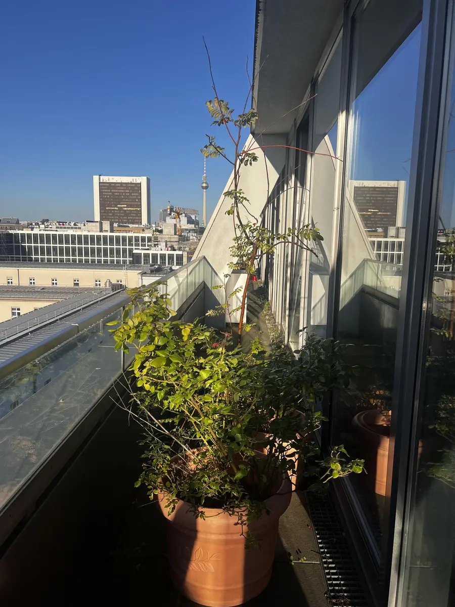 LocationRobot - Film Location Penthouse LR5632 (photo 22)