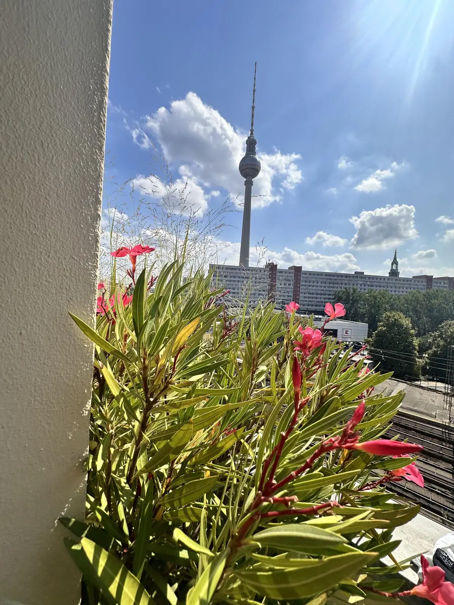 LocationRobot - Film Location Wohnung LR5637 (photo 23)