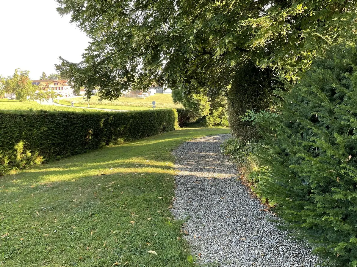 LocationRobot - Film Location Villa LR5653 (photo 46)