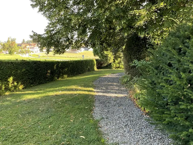 LocationRobot - Film Location Villa LR5653 (photo 46)