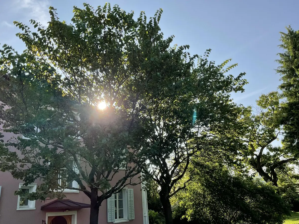 LocationRobot - Film Location Villa LR5653 (photo 36)