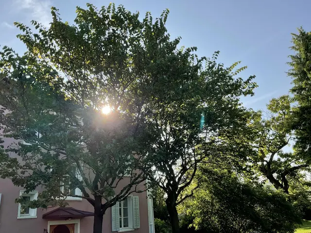 LocationRobot - Film Location Villa LR5653 (photo 36)